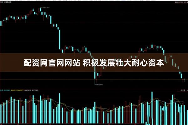 配资网官网网站 积极发展壮大耐心资本
