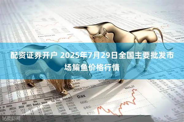配资证券开户 2025年7月29日全国主要批发市场鳊鱼价格行情